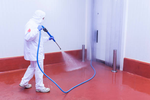 Best Playground Equipment Cleaning  in Hurleyville, NY